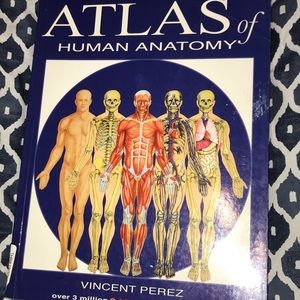 The atlas on the human anatomy book